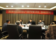 煙花爆竹批發企業安全生產管理手冊 編寫導則審查會在沈陽召開